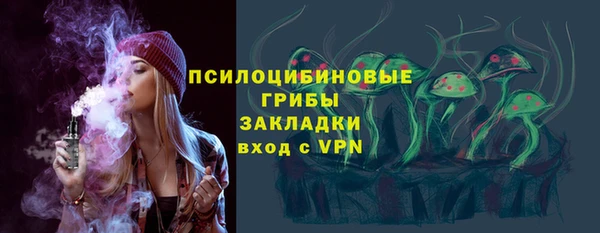 прущий лед Абаза