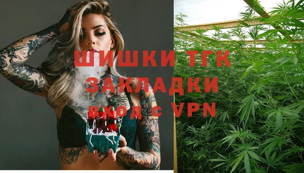 прущий лед Абаза
