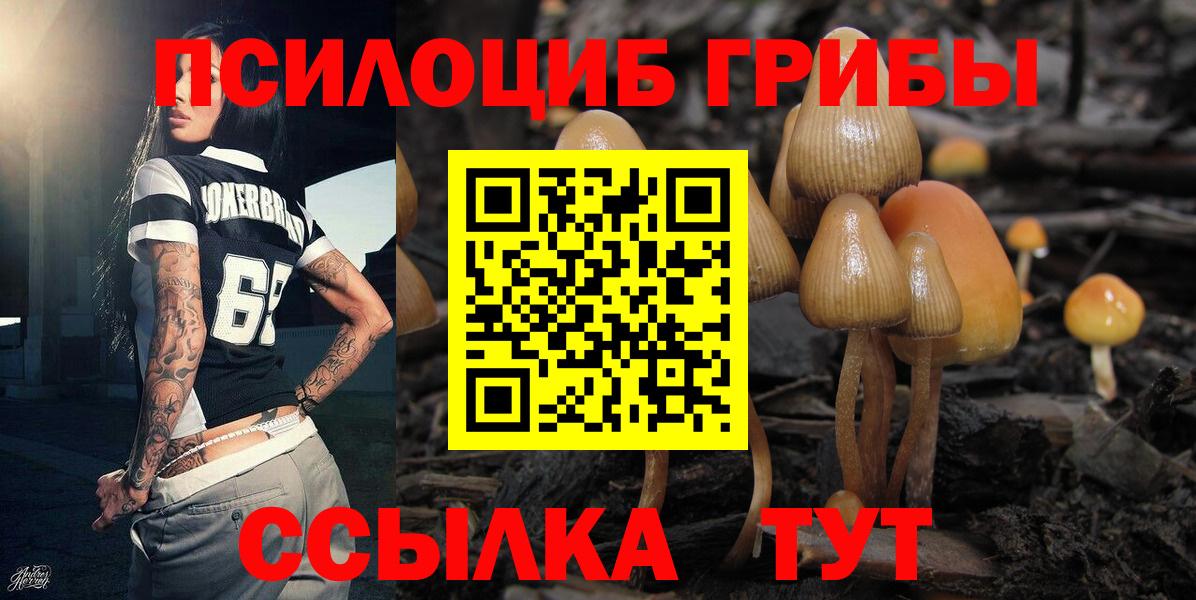 Алейск  Галлюциногенные грибы GOLDEN TEACHER  купить   Псилоцибиновые грибы Cubensis  Вход с VPN 
