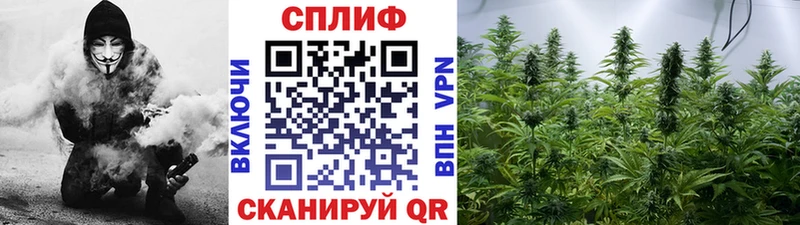 Шишки марихуана THC 21%  где продают наркотики  omg ссылка  Алейск 